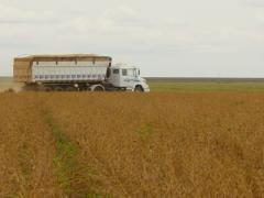 Alta de commodities levou à expansão de 28% nas exportações baianas em maio