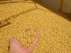 PIB do Agronegócio baiano cresce 8,5% no segundo trimestre de 2021