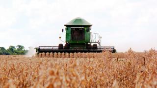 SEI divulga dados da Pesquisa Agrícola Municipal na Bahia em 2016