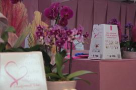 SSP recebe primeiras doações de mechas no salão temporário do projeto Ligadas Por Fios