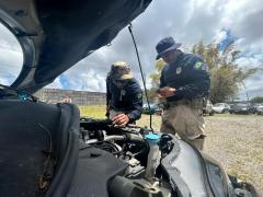 WhatsApp Image 2025-10-28 at 16.15.48.jpeg