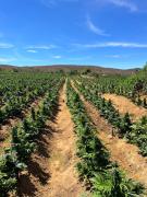 9ca5e22d-bb39-4761-ae20-ee0e0af4f476