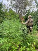 9ed2498b-d928-478e-99cc-c744e850b4d7