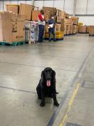 WhatsApp-Image-2023-07-27-at-11.35.38