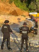 WhatsApp-Image-2023-07-27-at-16.20.43-1