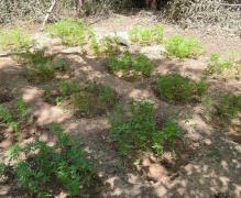 WhatsApp Image 2023-07-30 at 16.29.42