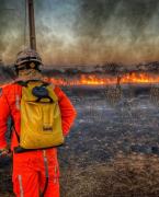 WhatsApp Image 2023-07-31 at 16.57.34