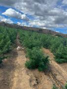 bb3f01c5-d7a5-493e-9a11-1e73888ec6ce