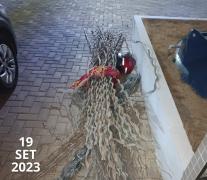 Foto: Divulgação SSP