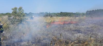 Imagem: Divulgação CBMBA