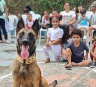 Imagem: Divulgação DCS PM