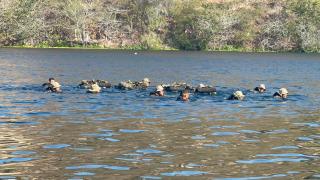 Imagem: Divulgação SSPBA