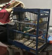 WhatsApp-Image-2023-10-04-at-16.37.23