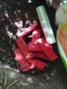 Imagem: Divulgação SSPBA