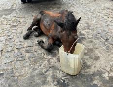 WhatsApp-Image-2023-12-18-at-12.48.56