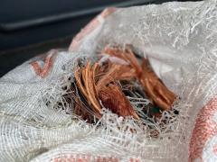 Poliana Lima/ Ascom SSPBA