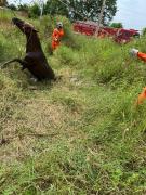 Foto: Divulgação BM