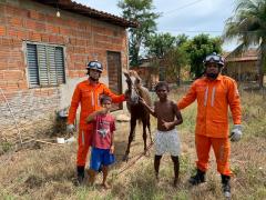 Foto: Divulgação BM