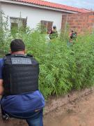 WhatsApp Image 2024-05-09 at 07.11.00