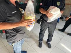 Divulgação/ Ascom PC