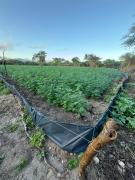 WhatsApp Image 2024-06-28 at 12.53.48 (1)