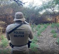 Divulgação/ Polícia Militar - DCS