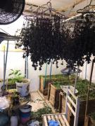 WhatsApp-Image-2024-09-04-at-17.05.06