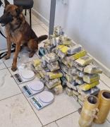 WhatsApp Image 2024-09-18 at 14.24.07