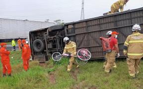 WhatsApp-Image-2024-11-25-at-10.48.47