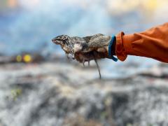 WhatsApp Image 2024-11-25 at 15.50.50