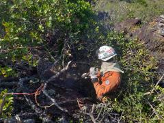 WhatsApp-Image-2025-01-05-at-13.41.51