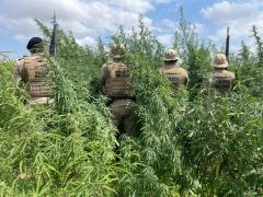 Divulgação/ Polícia Militar - DCS