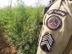 WhatsApp-Image-2025-01-05-at-16.40.11