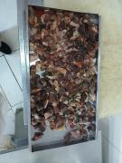 Divulgação/ Ascom PC