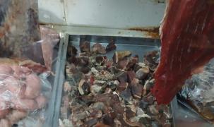 WhatsApp-Image-2025-04-01-at-12.03.33