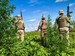 Divulgação/ Ascom SSP