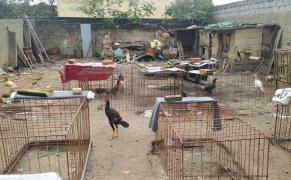 Divulgação/Ascom PCBA