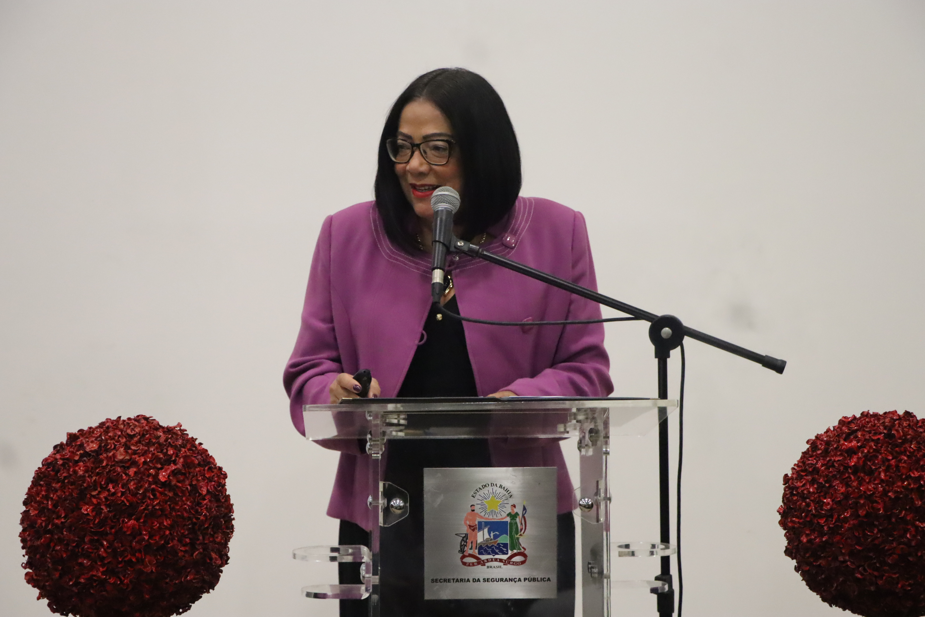  Workshop apresenta Programa Bahia. Estado Voluntário para 19 bases comunitárias