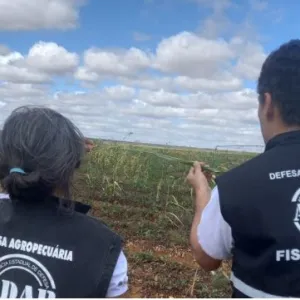 Exames do certame serão no dia 2 de junho, das 13h às 19h. Os locais de aplicação das provas devem ser consultados no site da banca examinadora (https://conhecimento.fgv.br/concursos/adab24)