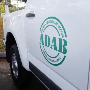 Rafael Martins/GOVBA