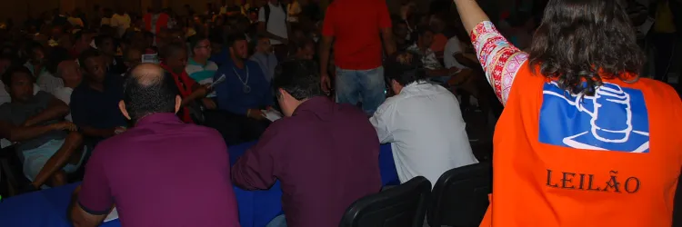 Leilão, Bens Públicos