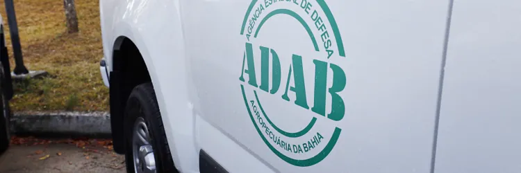 Rafael Martins/GOVBA