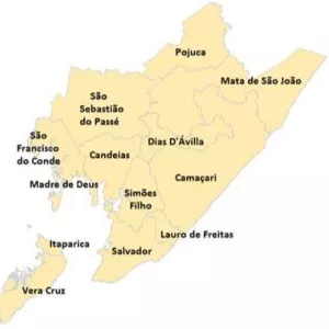 Linhas ativas no Transporte Metropolitano de Salvador; veja mais