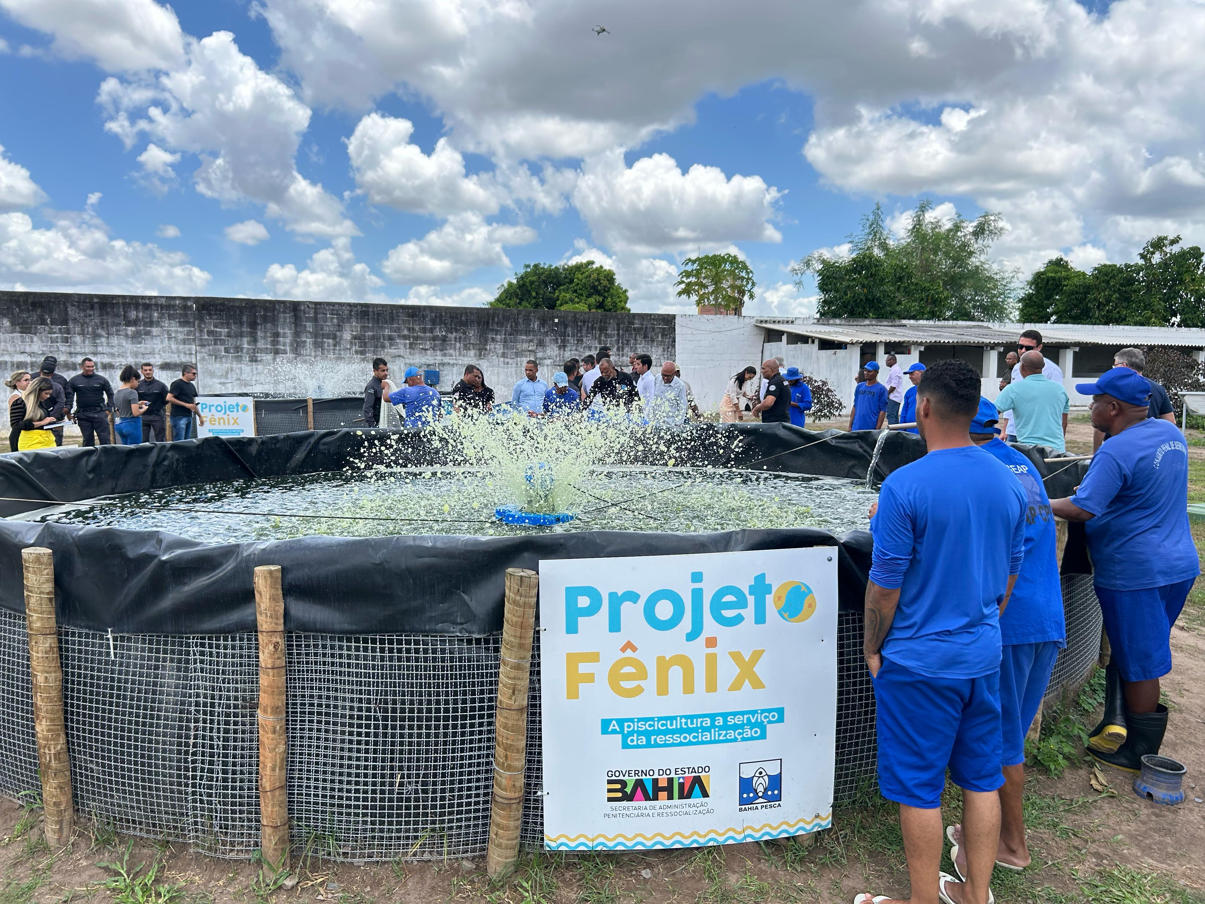 Projeto Fênix