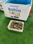 WhatsApp Image 2024-12-01 at 10.25.42.jpeg