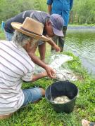 Pesque PAD Baixa Grande 3