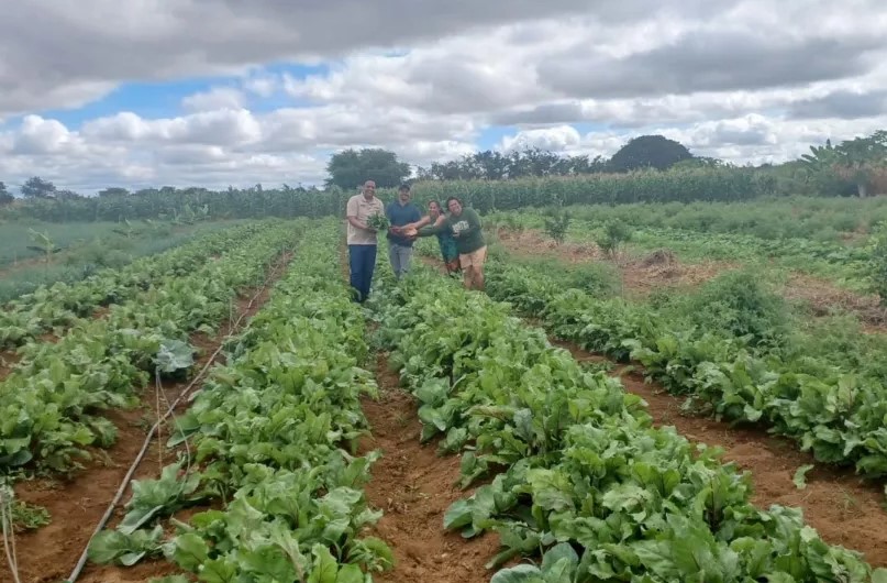 teste imagem destaque 1