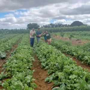 teste imagem destaque 1