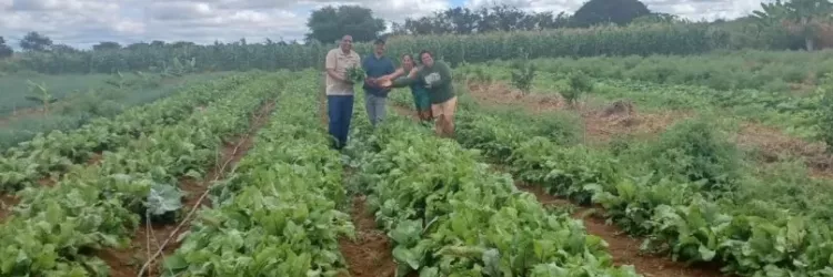 teste imagem destaque 1