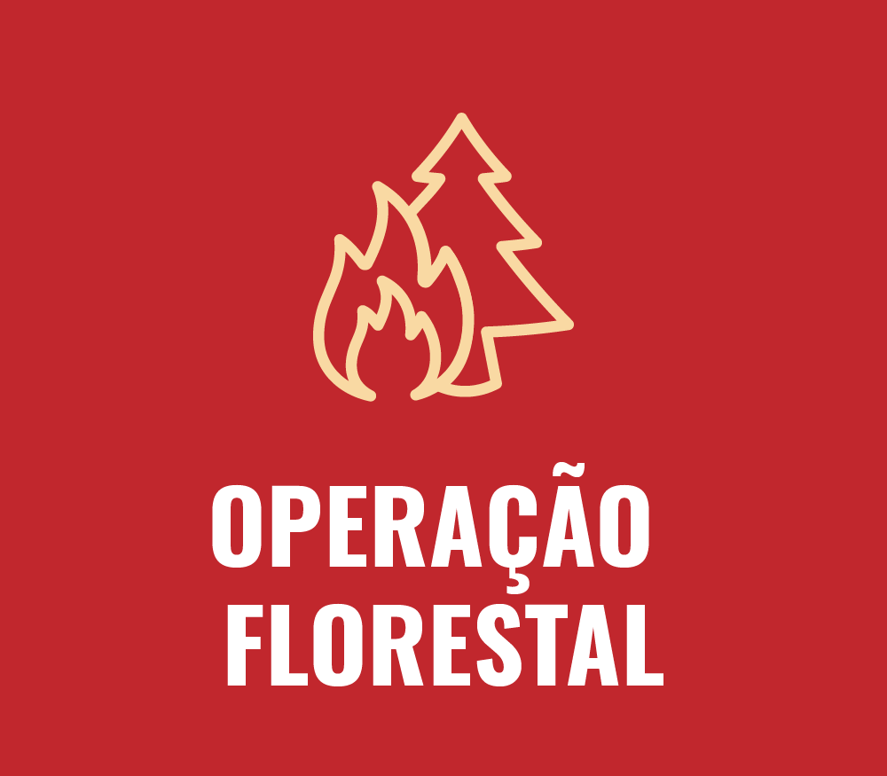 Operação Florestal